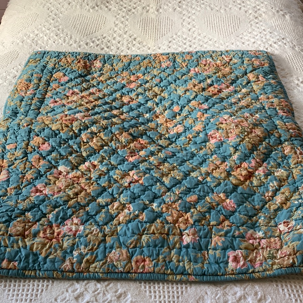Pottery Barn euro sham